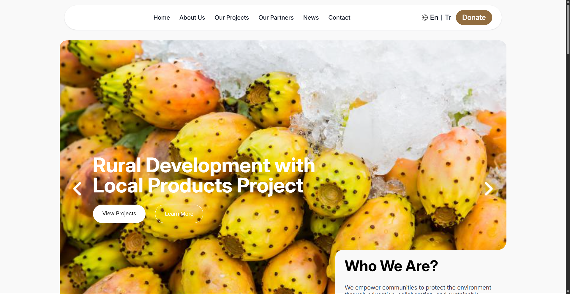 Corporate Website overview